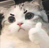 #東京反饋報告  彩花  #反饋報告