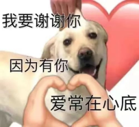 #大阪反饋報告 #反饋報告 編號39